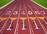 AYXapp下载-沙漠风暴席卷欧洲红魔，塔雷米战术革命如何改写2026世界杯生死战剧本