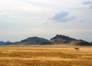 爱游戏下载-德甲争冠战之夜，戈贝尔关键时刻站出来