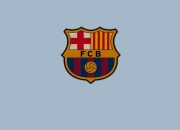 爱游戏娱乐-恩佐·F1新王登基？揭幕战爱尔兰式碾压背后的赛车哲学革命