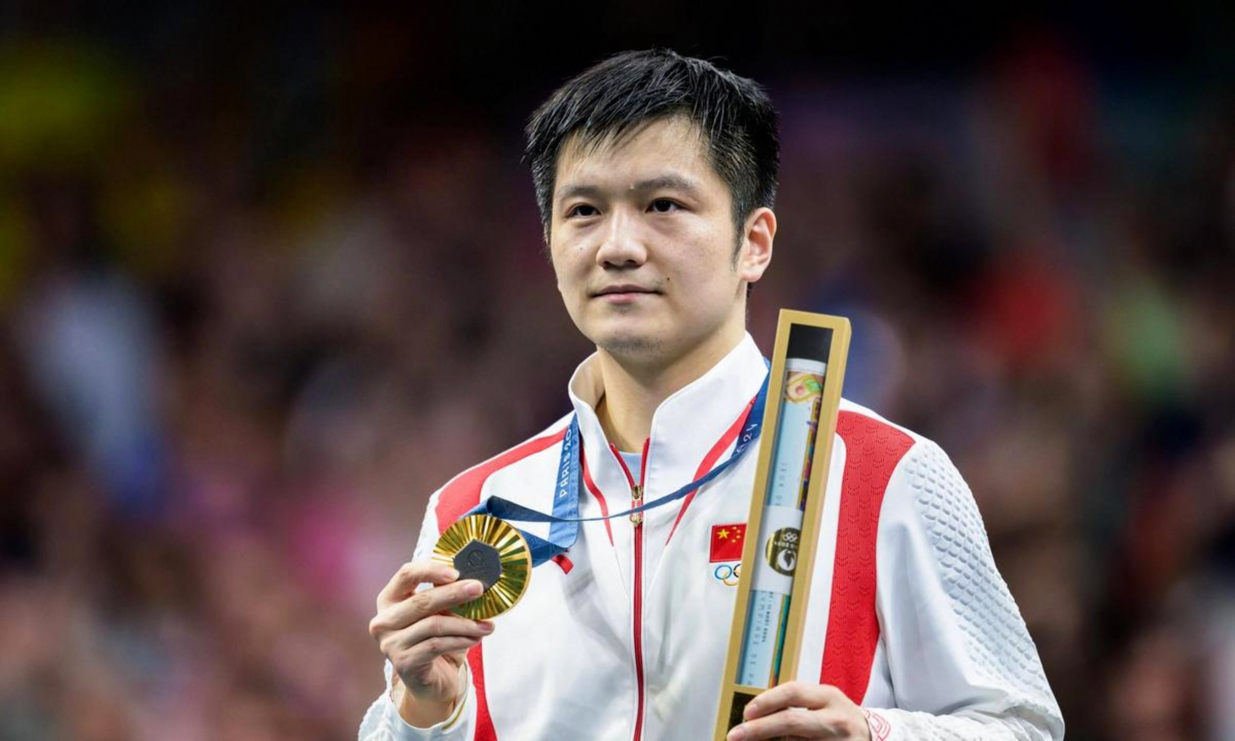 德国队完胜法国队，樊振东统治全场