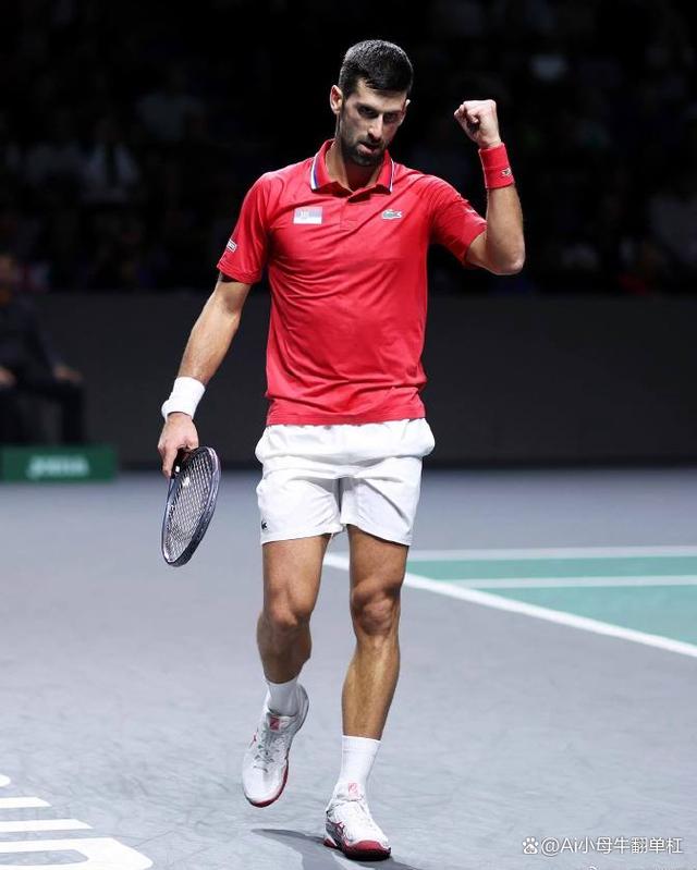 戴维斯杯逆转联合杯，德约科维奇扛起全队