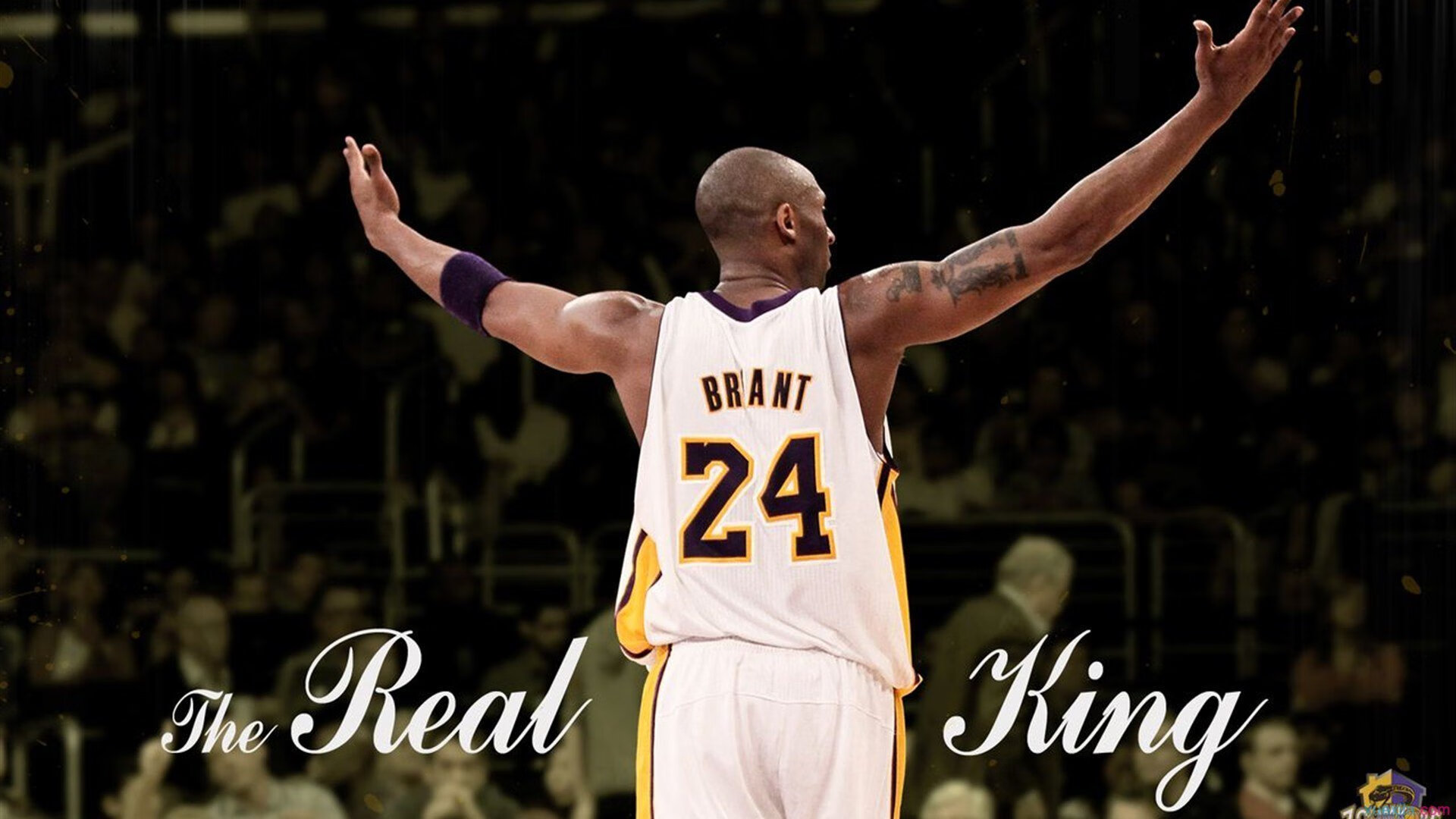 勒沃库森力克日本,奥利维耶成为关键先生